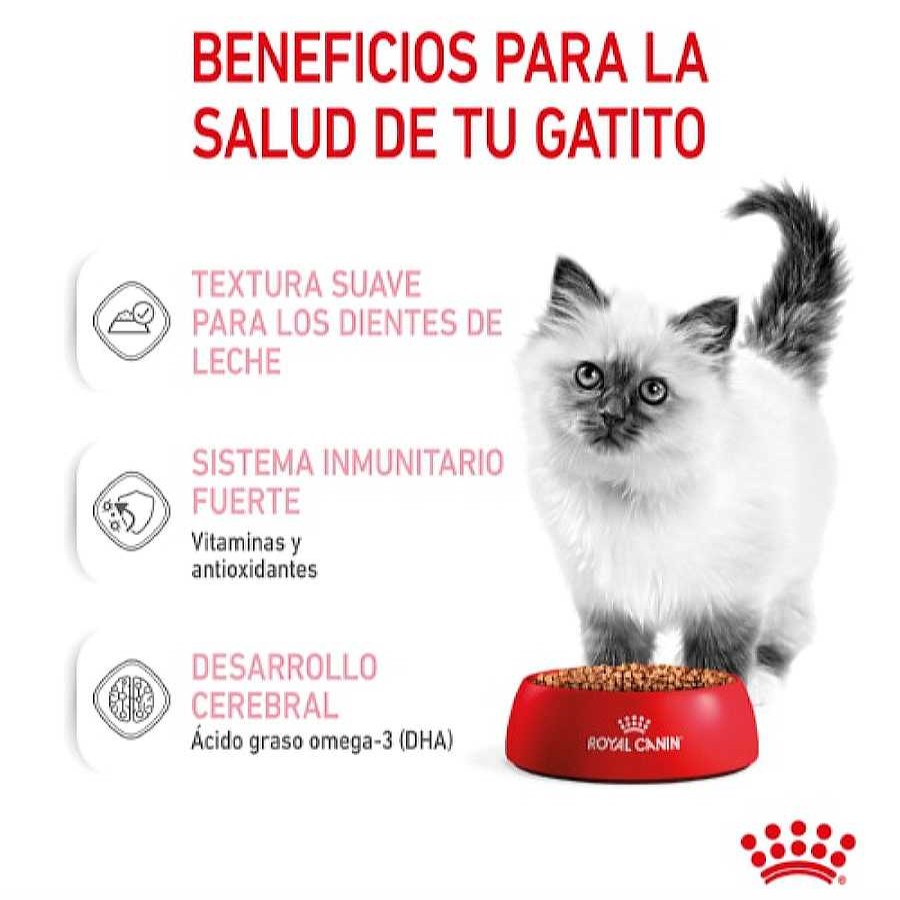 Gatos Royal Canin | Royal Canin Kitten Sobre En Salsa Para Gatos