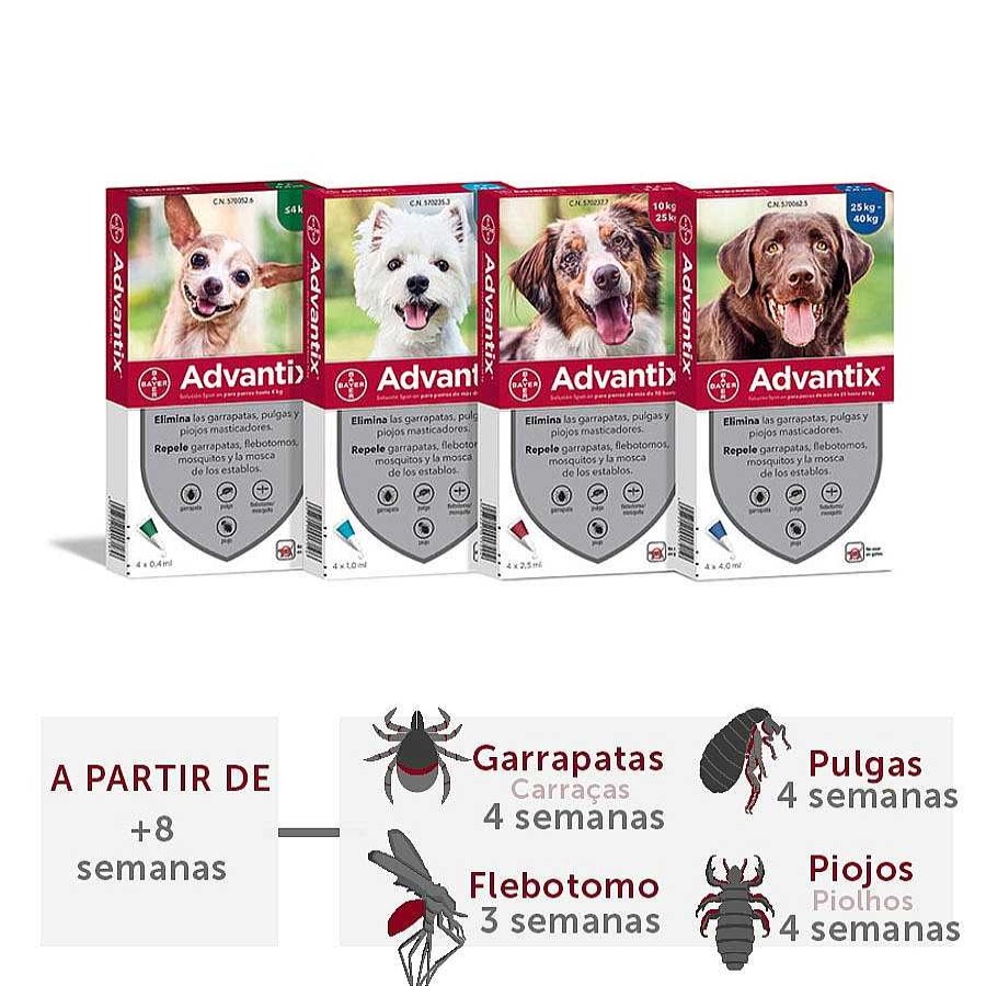 Perros Advantix Pipetas | Advantix Pipetas Antiparasitarias Para Perros