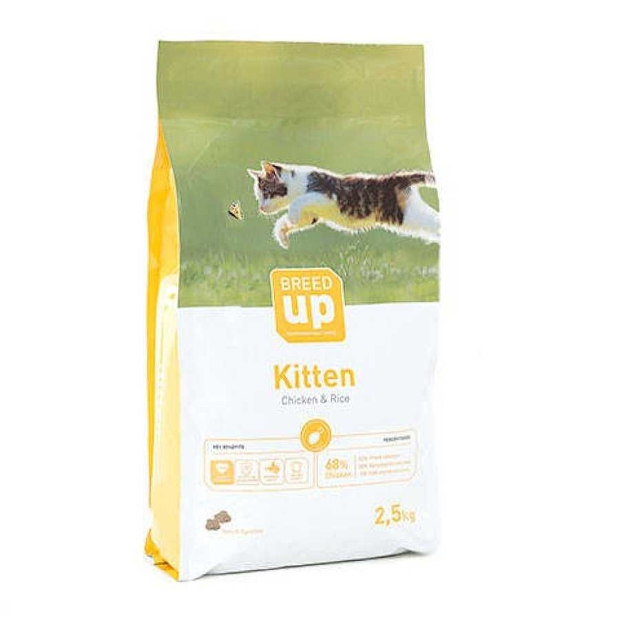 Gatos Breed Up | Breed Up Kitten Pollo Pienso Para Gatitos