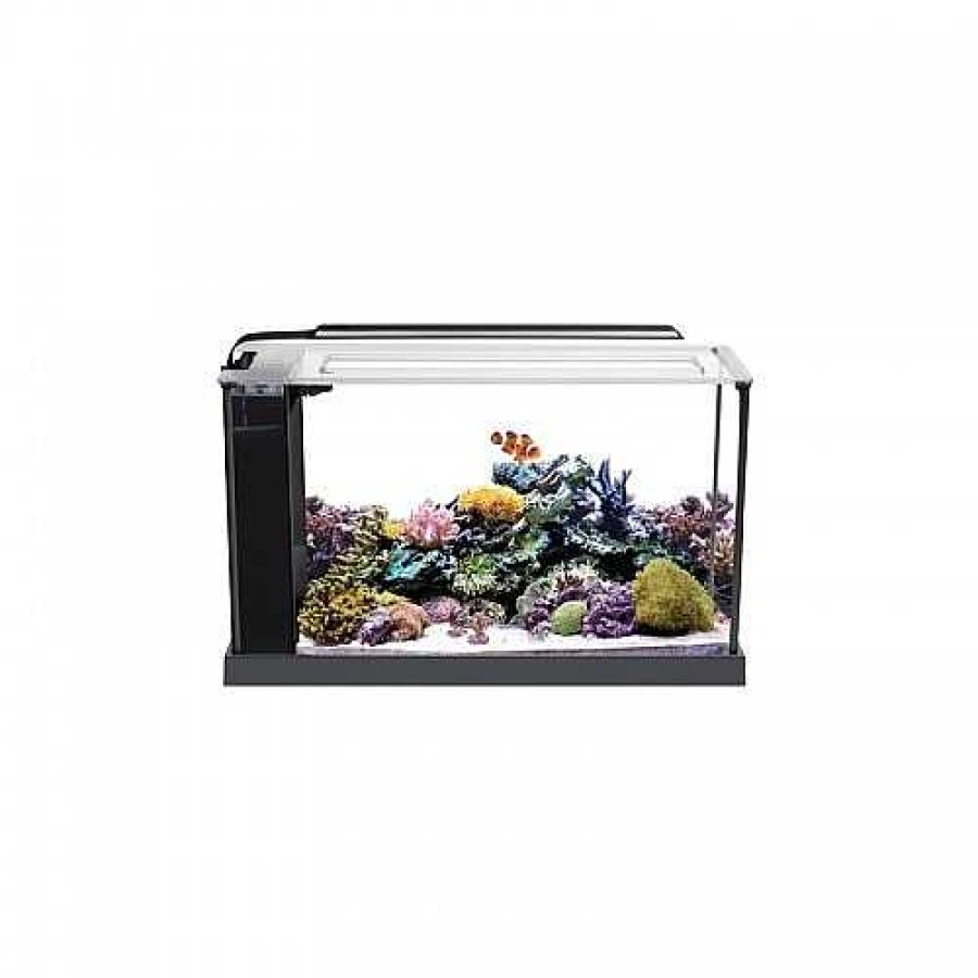 Otros Animales Fluval Acuarios | Fluval Evo 52 Color Negro