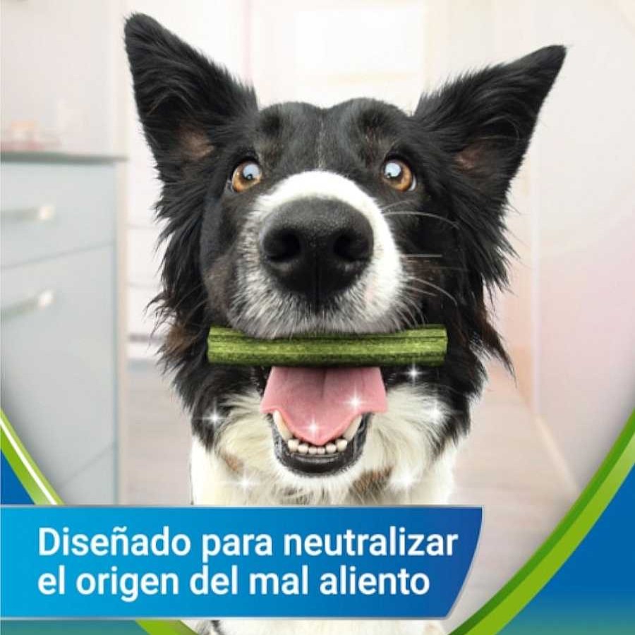 Perros Dentalife Dentales | Dentalife Snacks Dentales Small Activfresh Para Perros