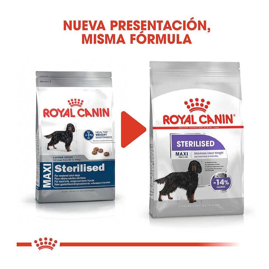 Perros Royal Canin | Royal Canin Sterilised Maxi Pienso Para Perros