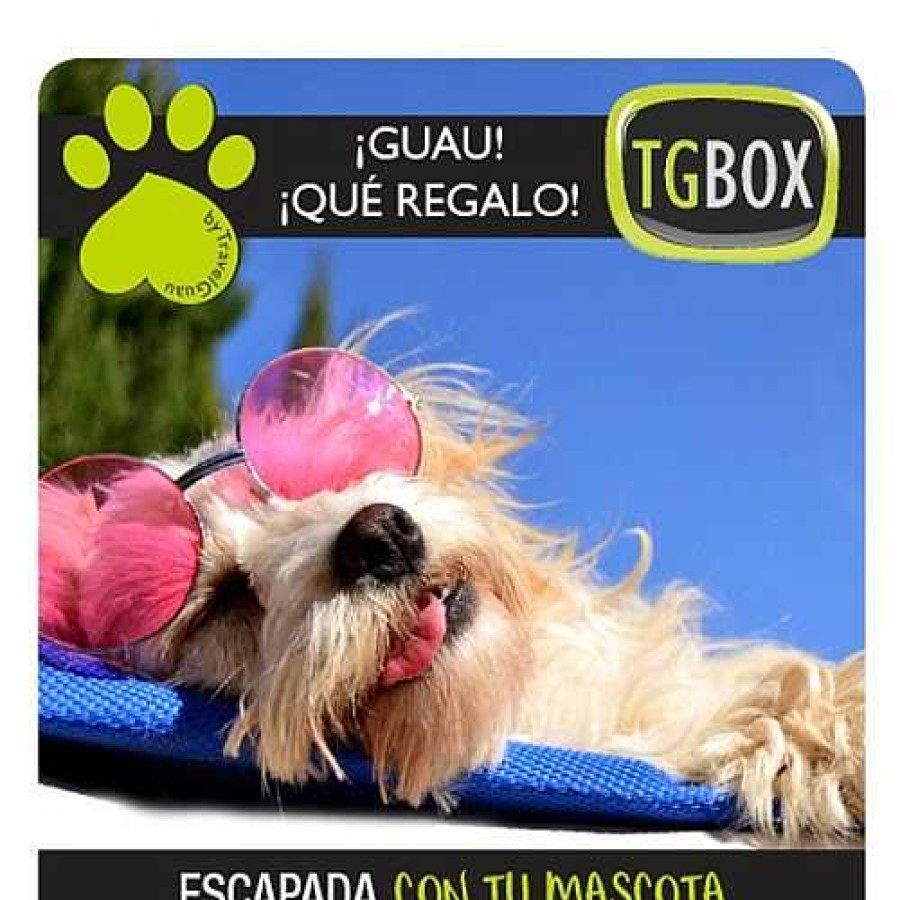 Otros Animales Tgbox Servicios | Escapada Con Tu Mascota Tgbox