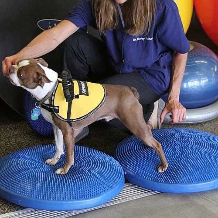 Perros Fitpaws Agility | Disco De Equilibrio Para Mascotas Color Azul