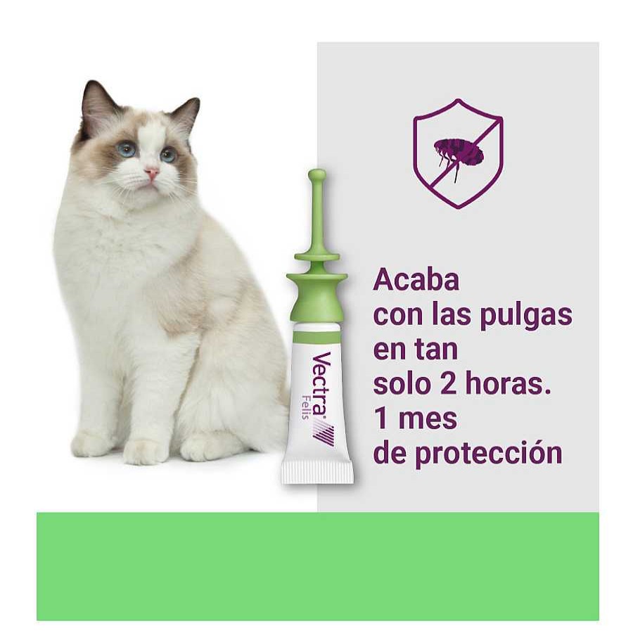 Gatos Vectra Pipetas | Vectra Felis Pipetas Antiparasitarias Para Gatos