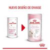 Gatos Royal Canin Productos Para La Salud | Royal Canin Leche Para Gatitos Primer A O