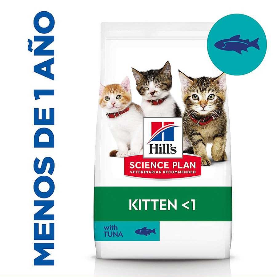 Gatos Hill's Pienso Para Gatitos | Hill'S Science Plan Kitten At N Pienso