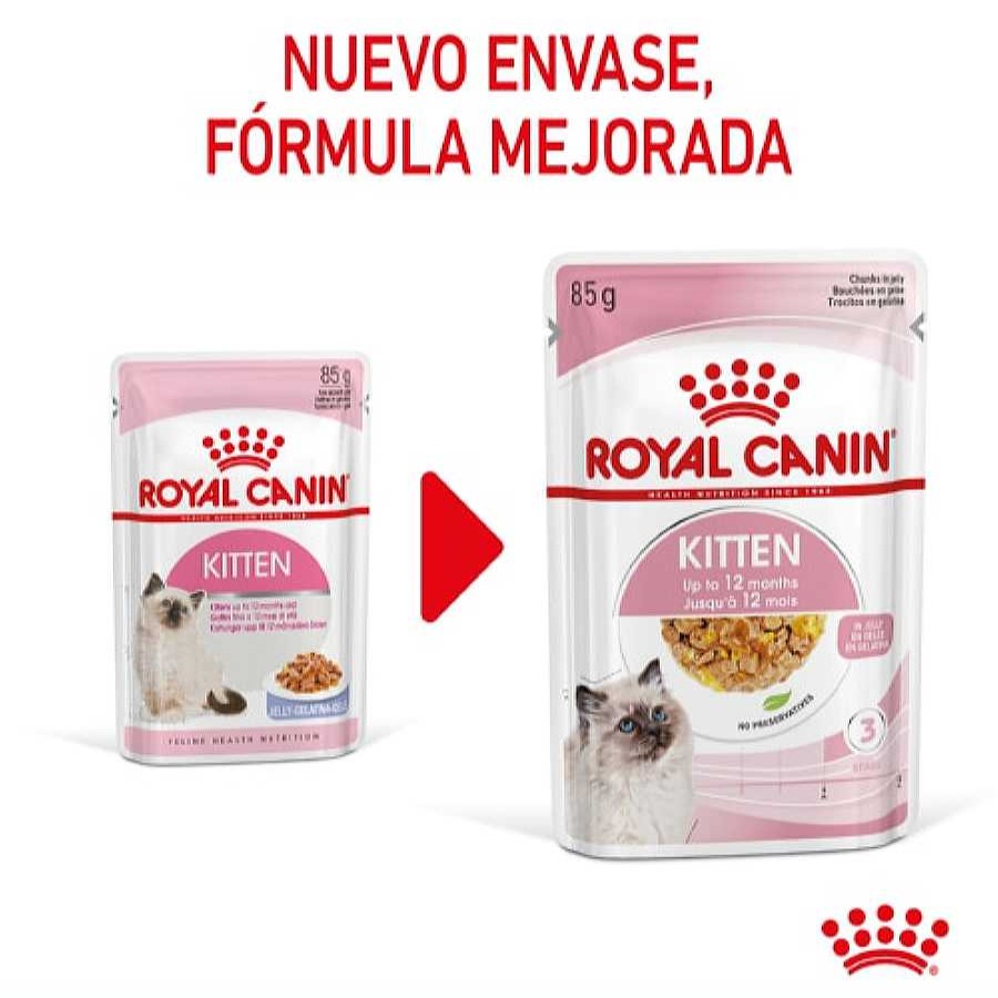 Gatos Royal Canin | Royal Canin Kitten Comida H Meda En Gelatina Sobre Para Gatitos