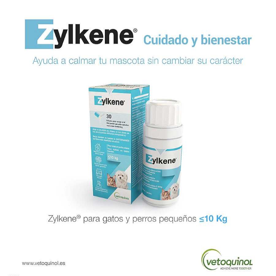 Perros Vetoquinol Accesorios Coche Y Viajes | Zylkene Tranquilizante Natural En Comprimidos Para El Estr S En Perros Y Gatos