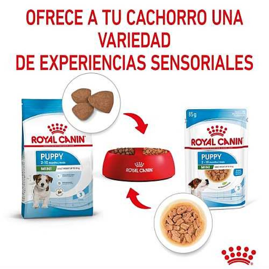 Perros Royal Canin | Royal Canin Mini Puppy Sobre En Salsa