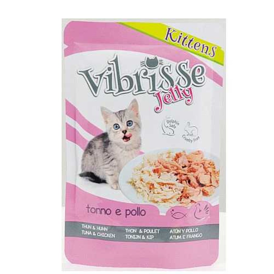 Gatos Croci Comida H Meda | Vibrisse Kitten Jelly At N Y Pollo En Gelatina Sobre Para Gatos