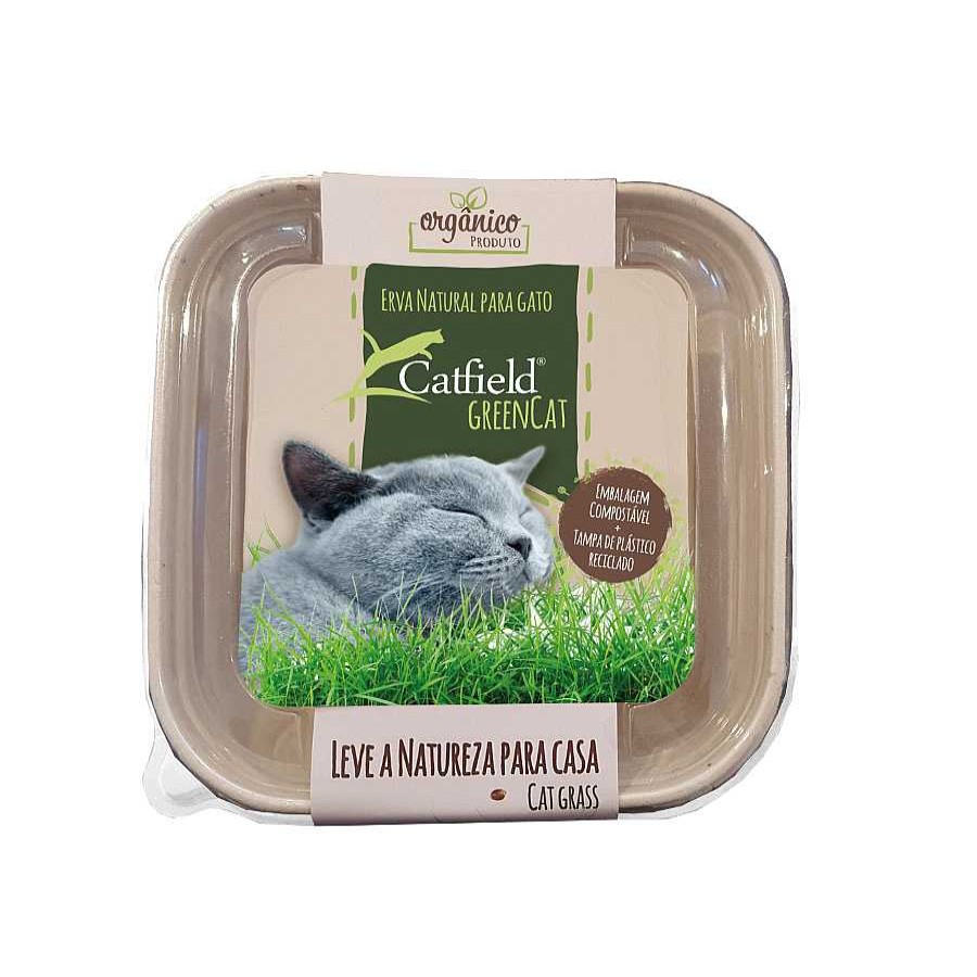 Gatos Catfield Hierba | Catfield Greencat Hierba Natural Para Gatos