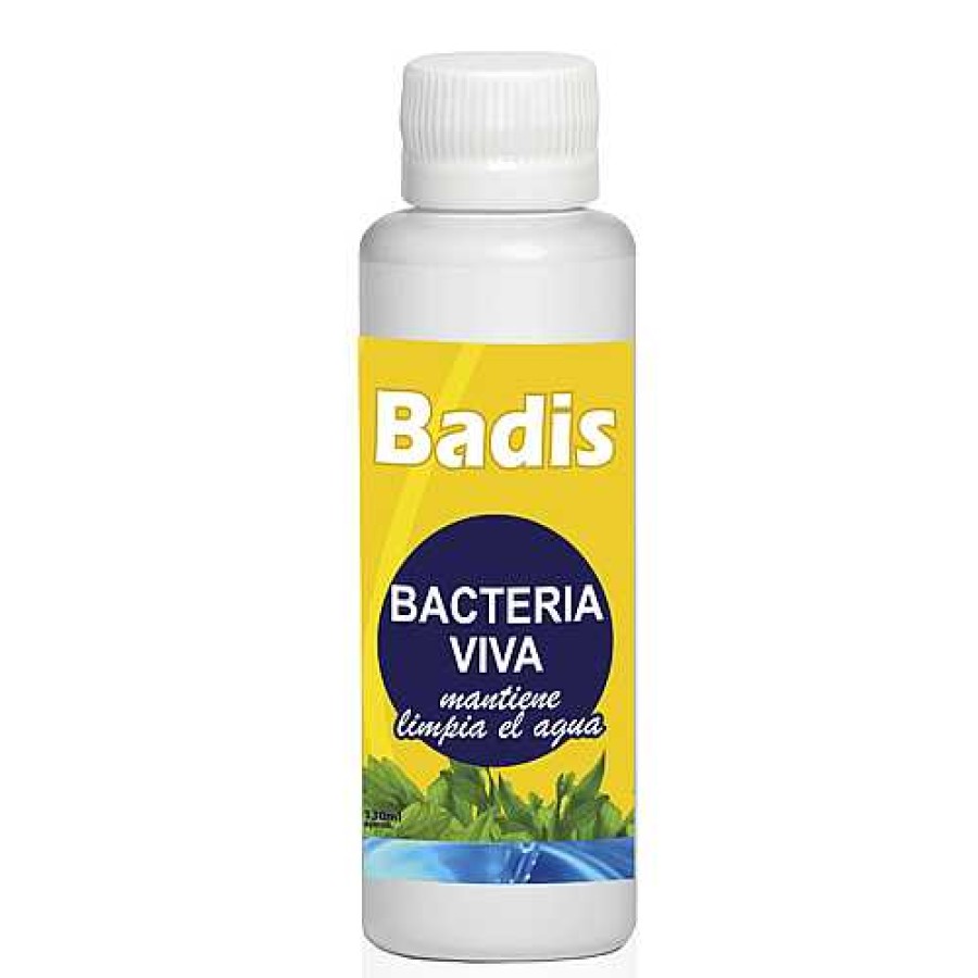 Otros Animales Badis Salud De Los Peces | Badis Bacteria Viva Para Acuarios