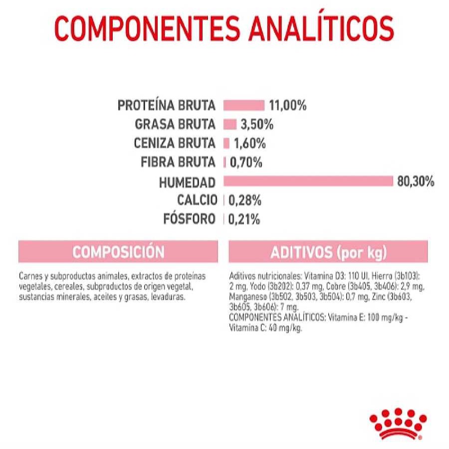 Gatos Royal Canin | Royal Canin Kitten Sterilised Salsa Sobre Para Gatos