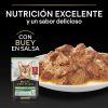 Gatos Pro Plan | Pro Plan Sterilised Maintenance Sobre Con Buey En Salsa Para Gatos