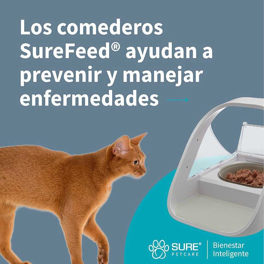 Perros Sure Petcare Comederos Y Bebederos | Sure Petcare Surefeed Comedero Autom Tico Con Microchip