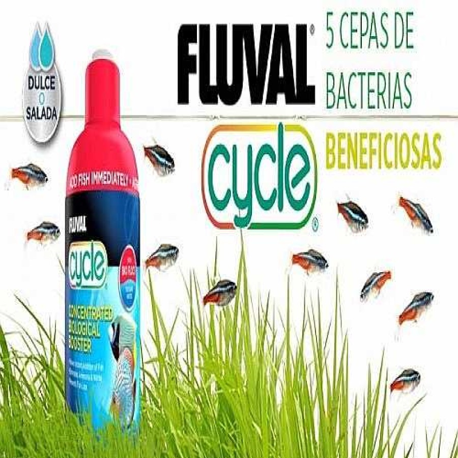 Otros Animales Fluval Salud De Los Peces | Fluval Cycle Bacterias 250 Ml