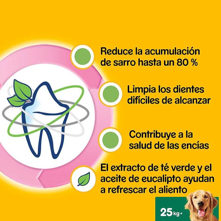 Perros Pedigree Dentales | Pedigree Dentastix Fresh Snacks Dentales Para Perros Grandes