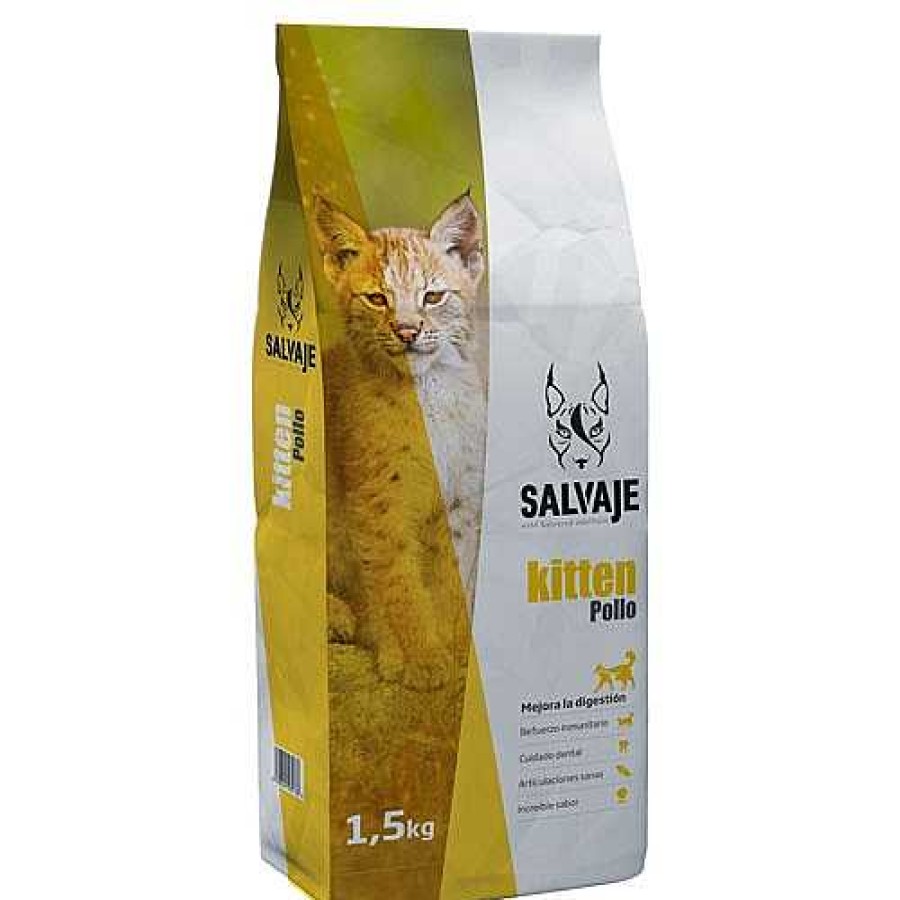 Gatos Salvaje | Salvaje Kitten Pollo Pienso Para Gatos