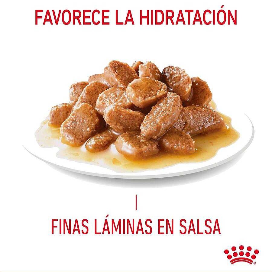 Gatos Royal Canin | Royal Canin Urinary Sobre En Salsa Para Gatos