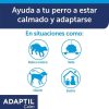 Perros Adaptil Accesorios Coche Y Viajes | Adaptil Collar Tranquilizante Para Perros