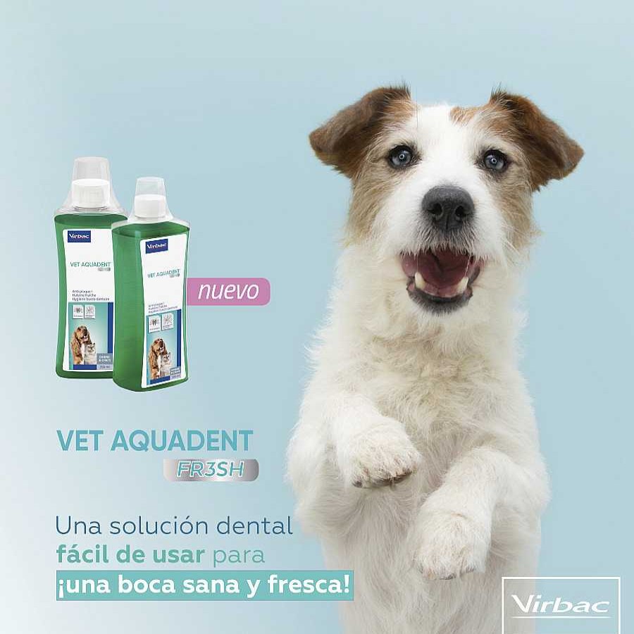 Perros Virbac Salud Dental | Virbac Vet Aquadent Enjuague Bucal Para Perros Y Gatos