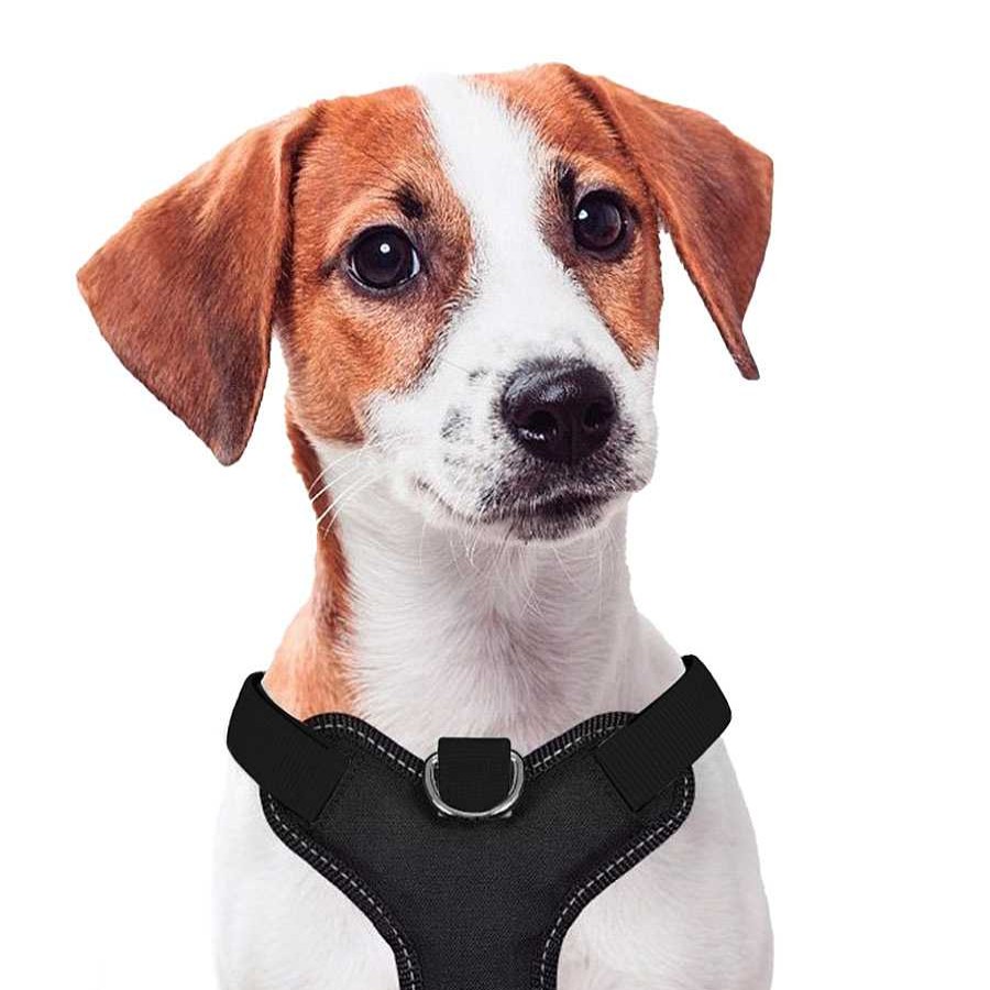 Perros Nayeco Collares Y Arneses | X-Trm Cronos Neon Flash Arn S Negro Para Perros