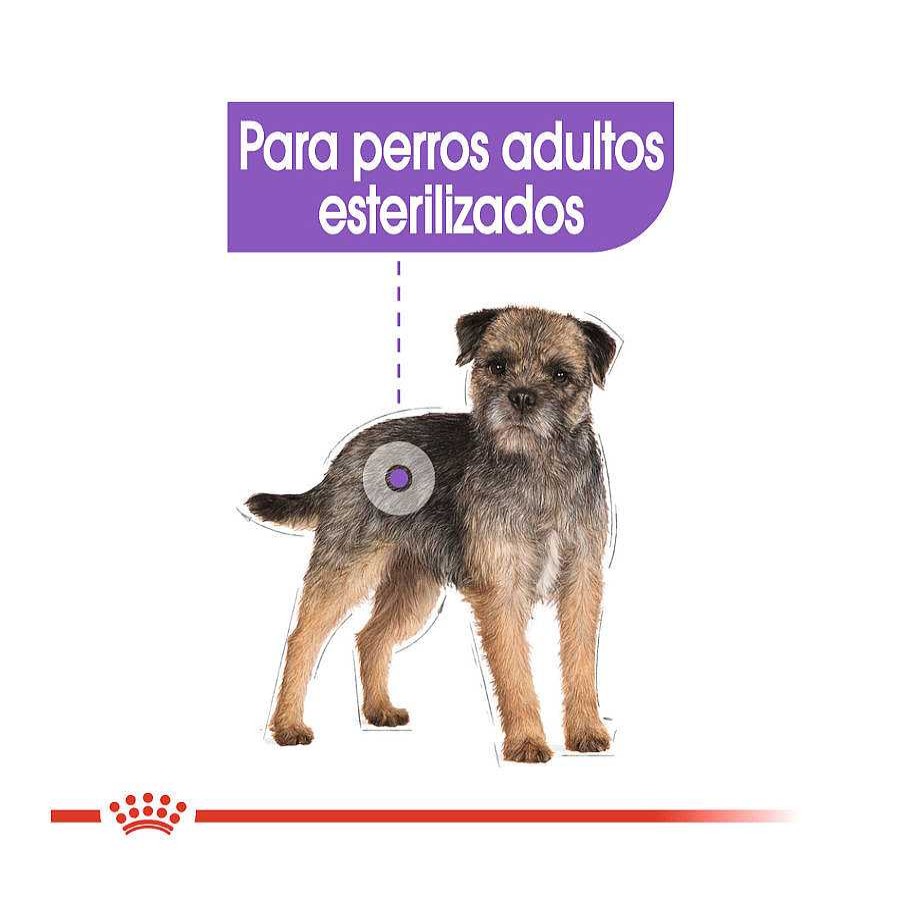 Perros Royal Canin | Royal Canin Sterilised Mini Pienso Para Perros