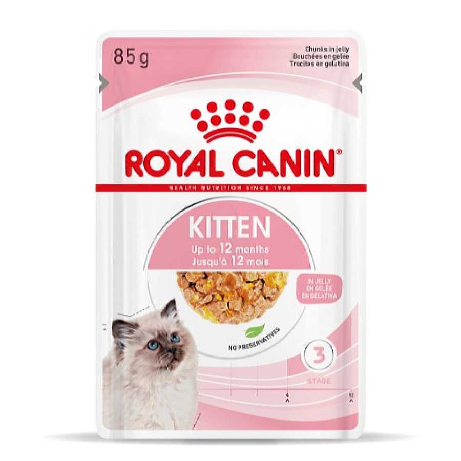 Gatos Royal Canin | Royal Canin Kitten Comida H Meda En Gelatina Sobre Para Gatitos