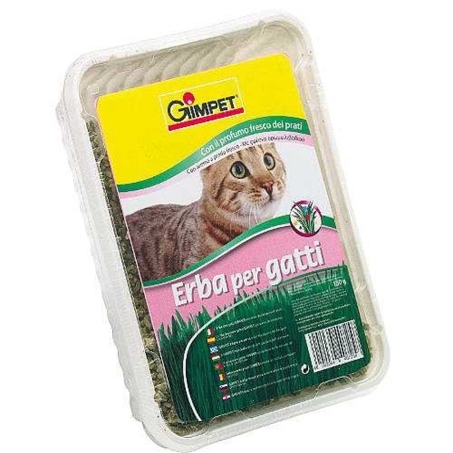 Gatos Gimpet Hierba | Gimcat Hierba Gatera En Bandeja