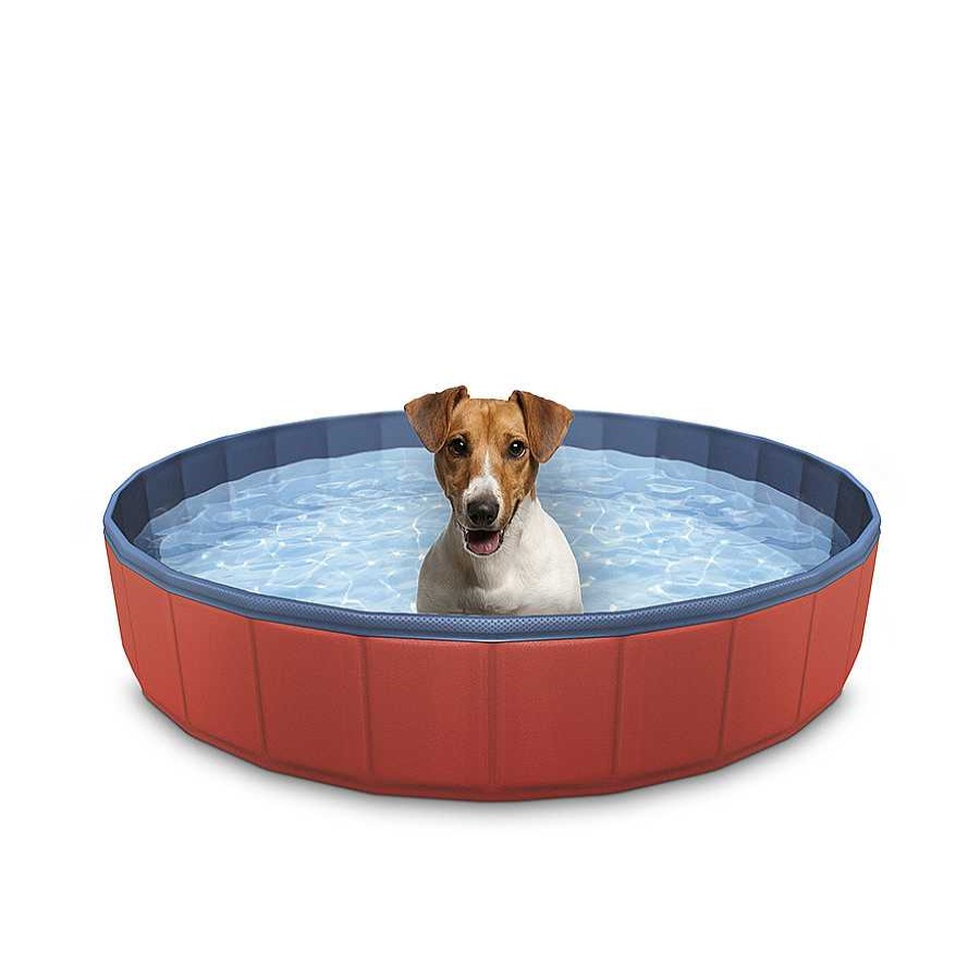 Perros Summer Vibes Ocio Y Tiempo Libre | Summer Vibes Piscina Para Perros