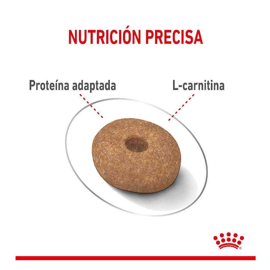 Perros Royal Canin | Royal Canin Mini Light Weight Care Pienso Para Perros