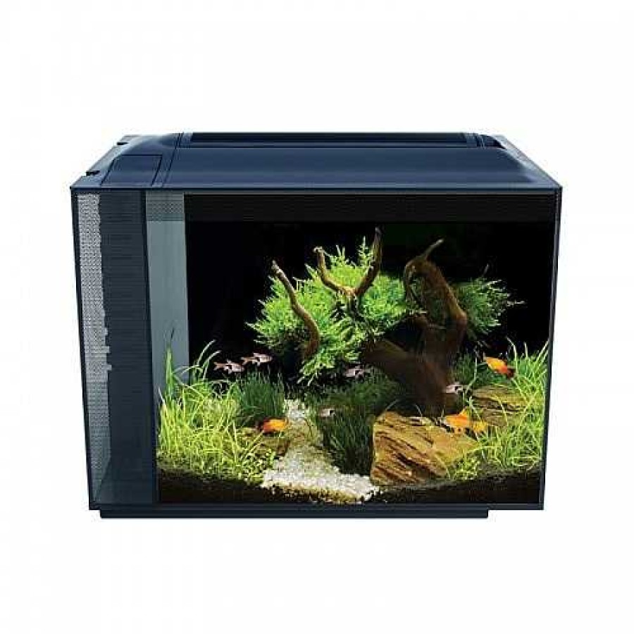 Otros Animales Fluval Acuarios | Fluval Spec Nano Acuario Color Negro