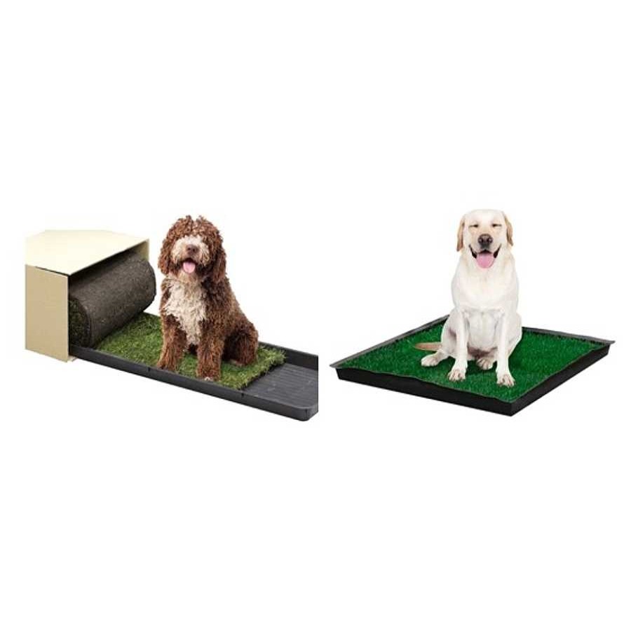 Perros Petground Limpieza Hogar | Petground Empapador De C Sped Natural Para Perros