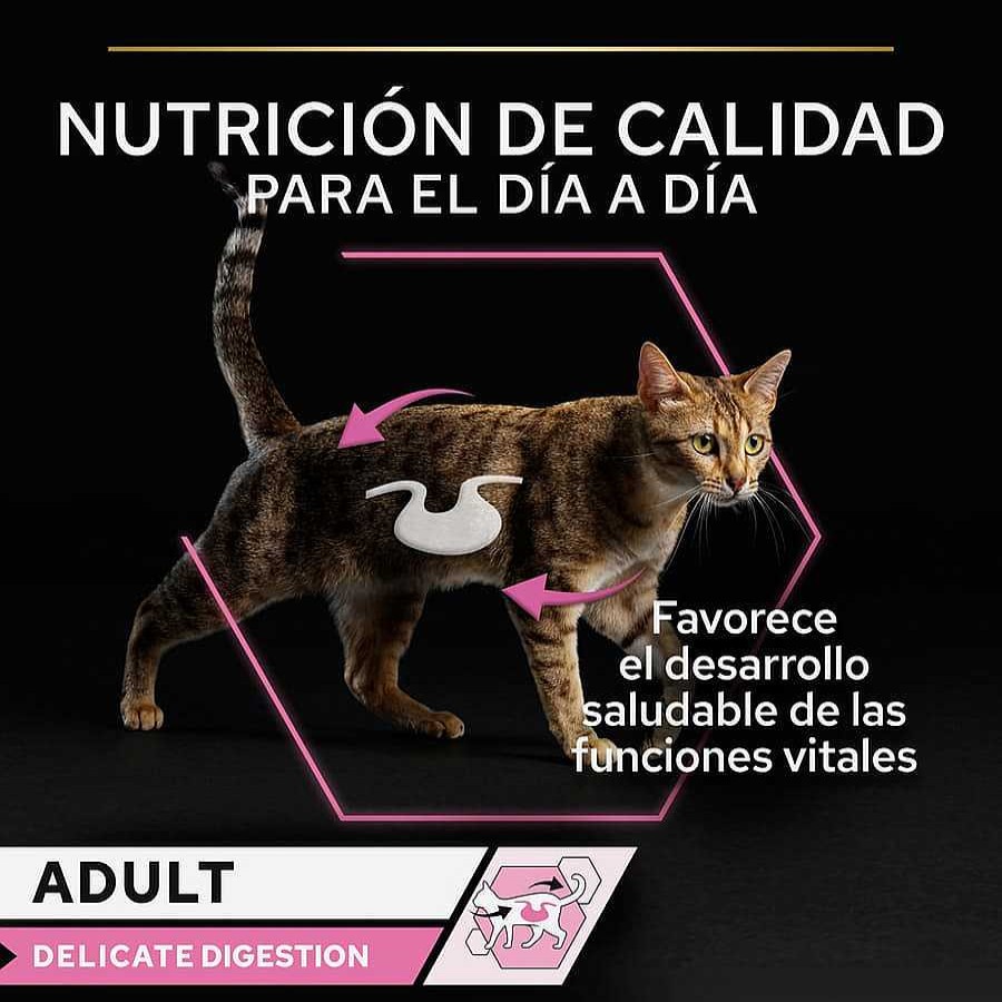 Gatos Pro Plan | Pro Plan Delicate Digestion Con Pavo En Salsa Para Gatos