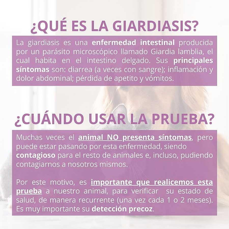 Perros Lab4Pets Higiene Para Perros | Lab4Pets Test R Pido Giardia Para Perros Y Gatos