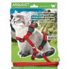 Gatos Arquivet Accesorios De Paseo | Petral Y Tirador Para Gatitos Color Rojo